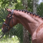 Aladdin for sale danish warmblood dressage